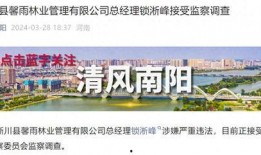 河南南阳市最新爆料,揭秘南阳市最新动态与热点事件